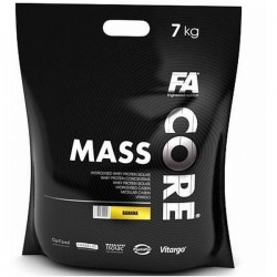 FA Mass core